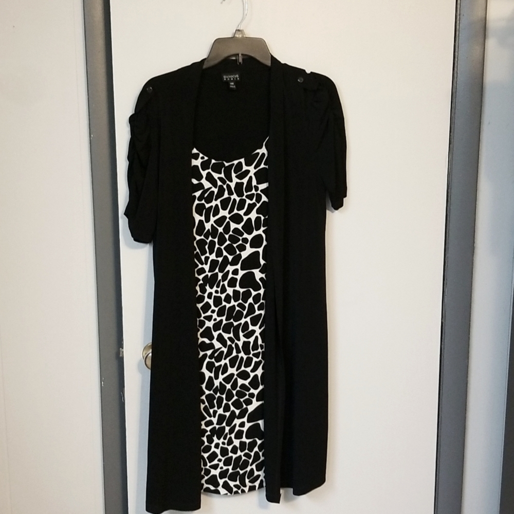 Ladies animal print dress